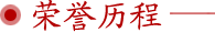 荣誉资质 荣誉资质